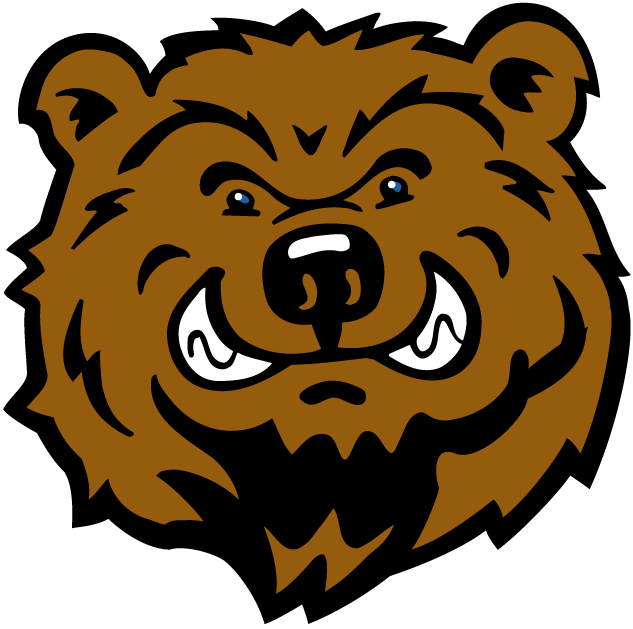 UCLA Bruins 2004-Pres Mascot Logo v4 diy iron on heat transfer